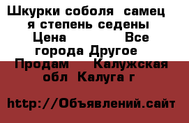 Шкурки соболя (самец) 1-я степень седены › Цена ­ 12 000 - Все города Другое » Продам   . Калужская обл.,Калуга г.